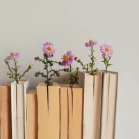 Biography Books
