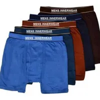 Men's Innerwear