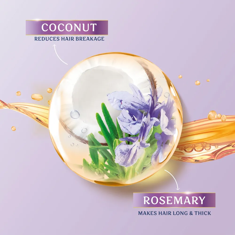 Parachute Advansed Rosemary-enriched Coconut Hair Oil| Rosemary Hair Oil| Superfoods Magic| Long & Thick Hair|300 Ml
